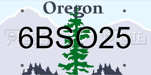 6BSO25 Oregon License Plate
