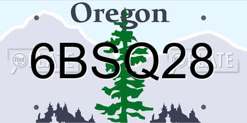 6BSQ28 Oregon License Plate