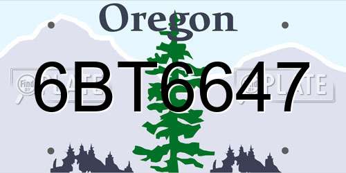 6BT6647 Oregon License Plate