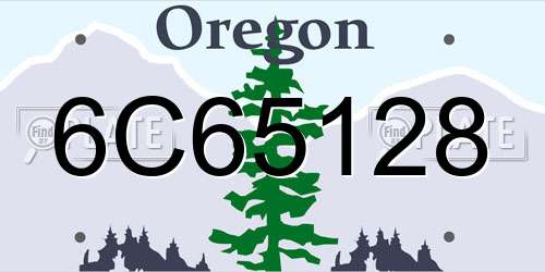 6C65128 Oregon License Plate