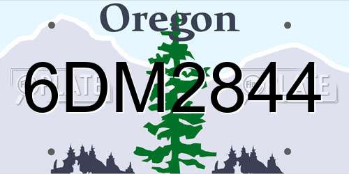 6DM2844 Oregon License Plate