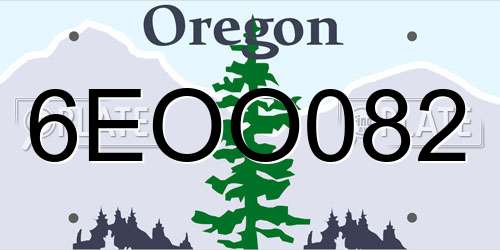 6EOO082 Oregon License Plate
