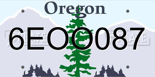 6EOO087 Oregon License Plate