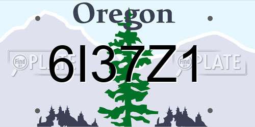 6I37Z1 Oregon License Plate
