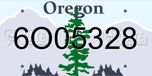 6O05328 Oregon License Plate