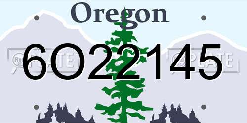 6O22145 Oregon License Plate