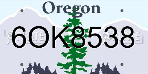 6OK8538 Oregon License Plate