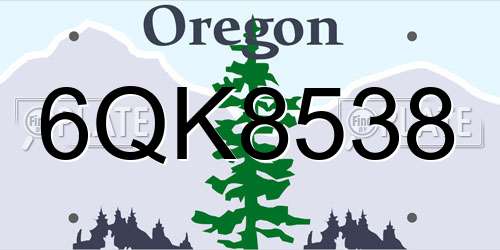6QK8538 Oregon License Plate