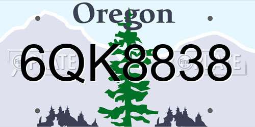 6QK8838 Oregon License Plate