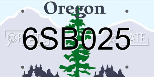 6SB025 Oregon License Plate