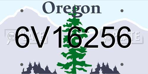 6V16256 Oregon License Plate