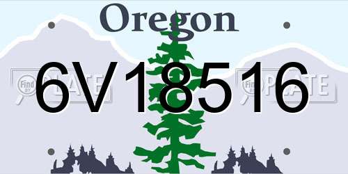 6V18516 Oregon License Plate