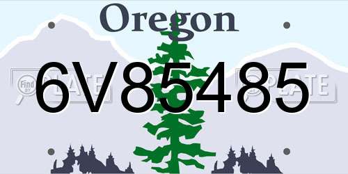6V85485 Oregon License Plate