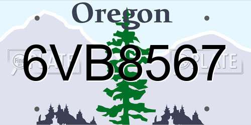 6VB8567 Oregon License Plate