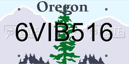 6VIB516 Oregon License Plate