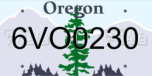 6VO0230 Oregon License Plate