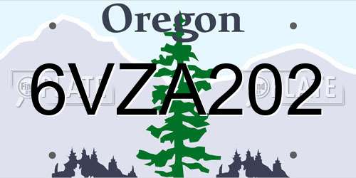 6VZA202 Oregon License Plate