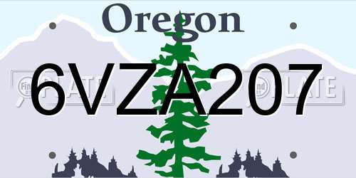 6VZA207 Oregon License Plate