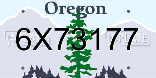 6X73177 Oregon License Plate