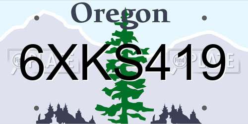 6XKS419 Oregon License Plate