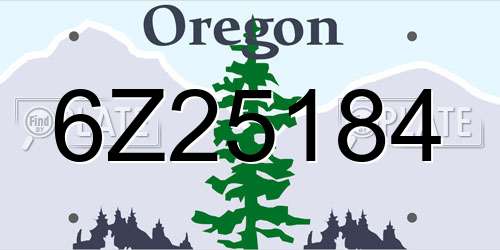 6Z25184 Oregon License Plate
