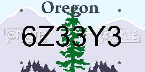 6Z33Y3 Oregon License Plate