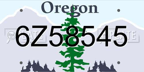 6Z58545 Oregon License Plate