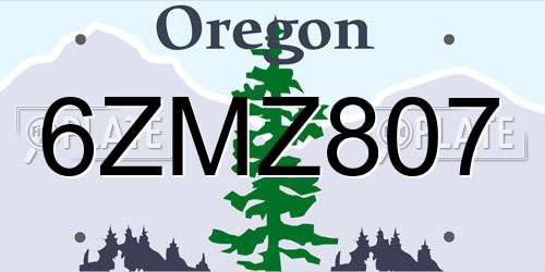 6ZMZ807 Oregon License Plate