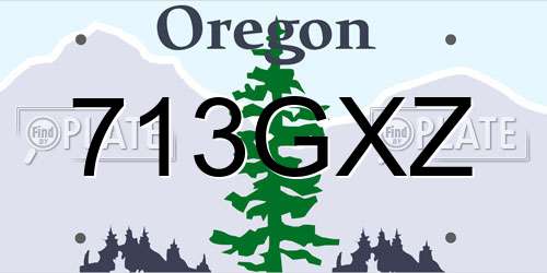 713GXZ Oregon License Plate