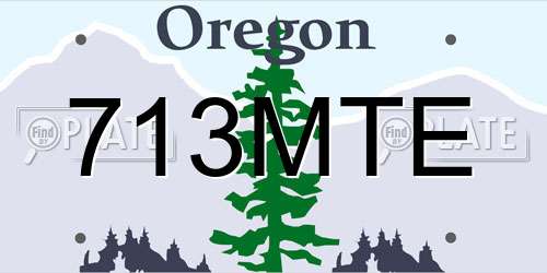 713MTE Oregon License Plate