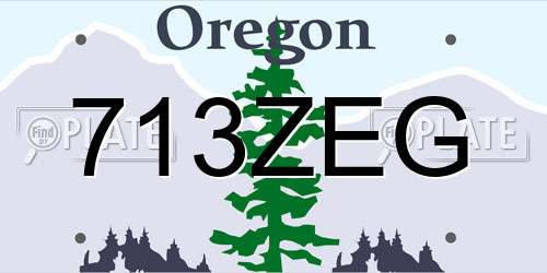 713ZEG Oregon License Plate