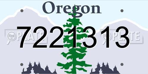 7221313 Oregon License Plate