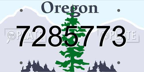 7285773 Oregon License Plate