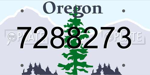 7288273 Oregon License Plate