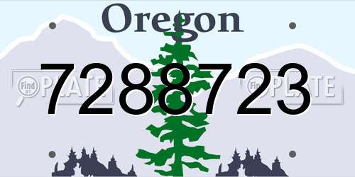 7288723 Oregon License Plate