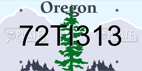 72TI313 Oregon License Plate