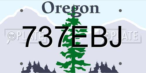 737EBJ Oregon License Plate