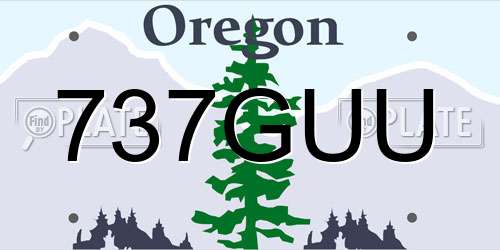 737GUU Oregon License Plate