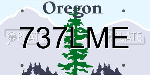 737LME Oregon License Plate