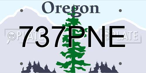 737PNE Oregon License Plate