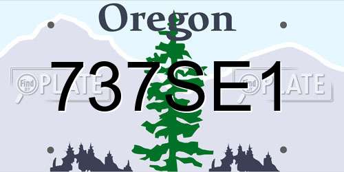 737SE1 Oregon License Plate