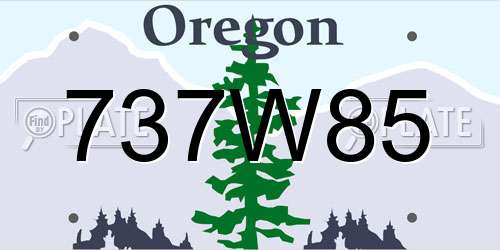 737W85 Oregon License Plate