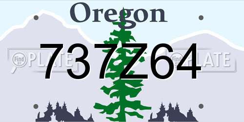737Z64 Oregon License Plate