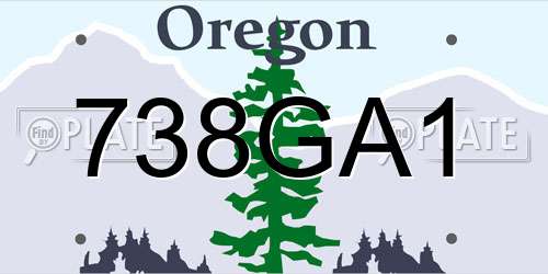 738GA1 Oregon License Plate