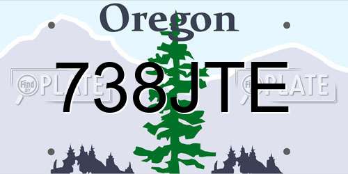 738JTE Oregon License Plate