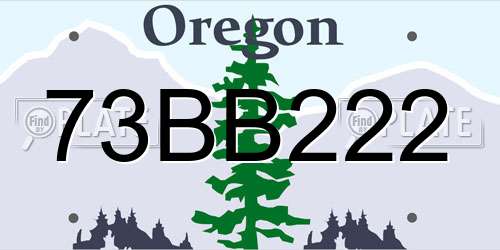 73BB222 Oregon License Plate