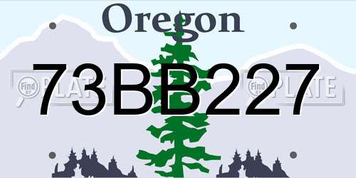 73BB227 Oregon License Plate