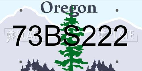 73BS222 Oregon License Plate