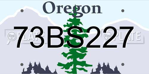 73BS227 Oregon License Plate