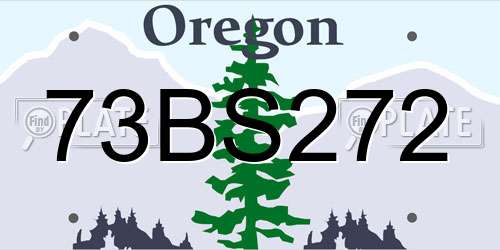 73BS272 Oregon License Plate